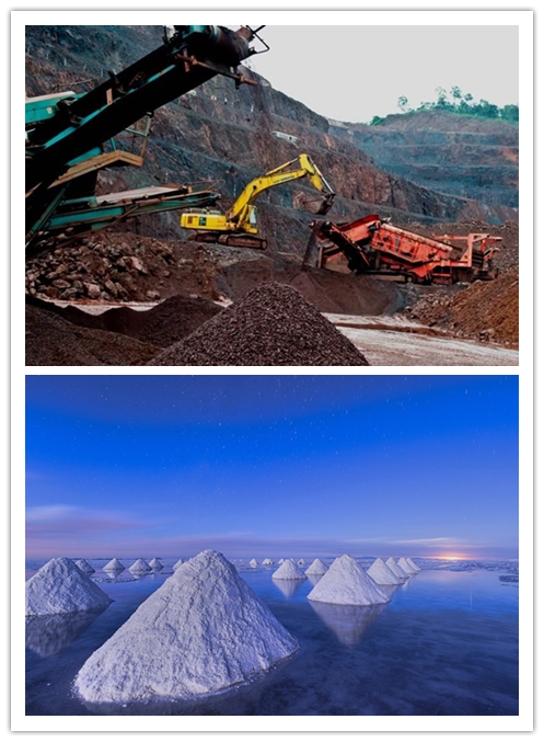 大家好，給大家介紹一下，這是我的“鋰”朋友！