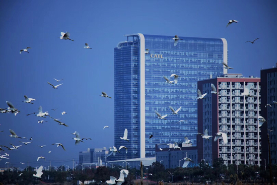 獨(dú)角獸寧德時(shí)代正式登陸創(chuàng)業(yè)板 引領(lǐng)動(dòng)力電池行業(yè)時(shí)代變革