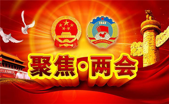 觀點集錦!兩會上電池行業(yè)傳出了那些重磅級聲音? 觀點集錦!兩會上電池行業(yè)傳出了那些重磅級聲音?