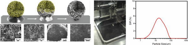 中能鋰業(yè)：專注鋰金屬 備戰(zhàn)下一代電池負(fù)極材料