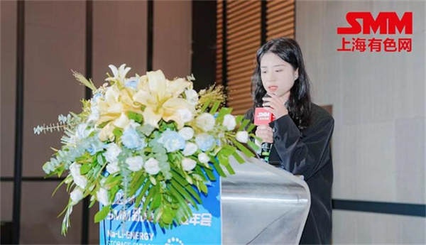 10月18日，由上海有色網（SMM）主辦的2023年中國新能源產業年會在廈門圓滿落幕！
