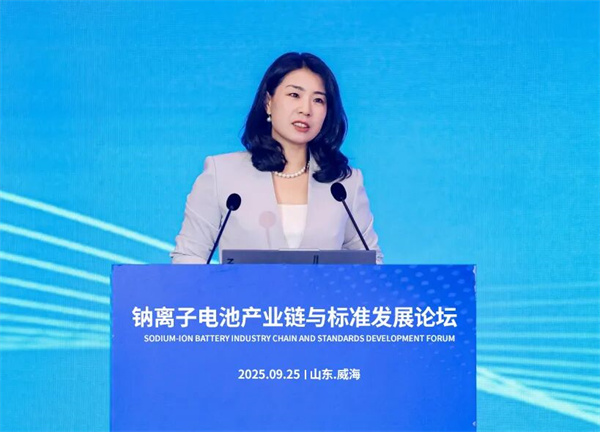 2025“鈉離子電池產(chǎn)業(yè)鏈與標(biāo)準(zhǔn)發(fā)展論壇”在威海開幕