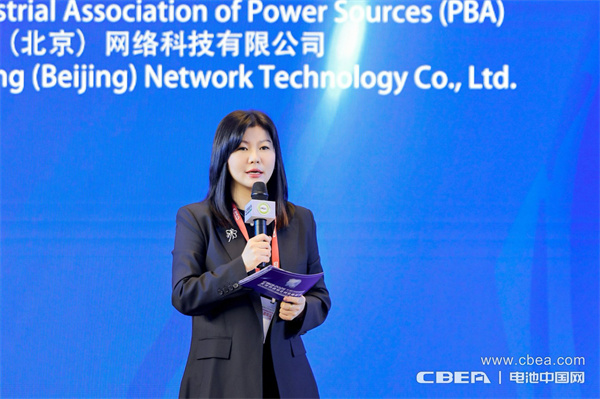 十年筑夢，新程再啟！邁向新能源電池全球供應鏈區域化發展新時代